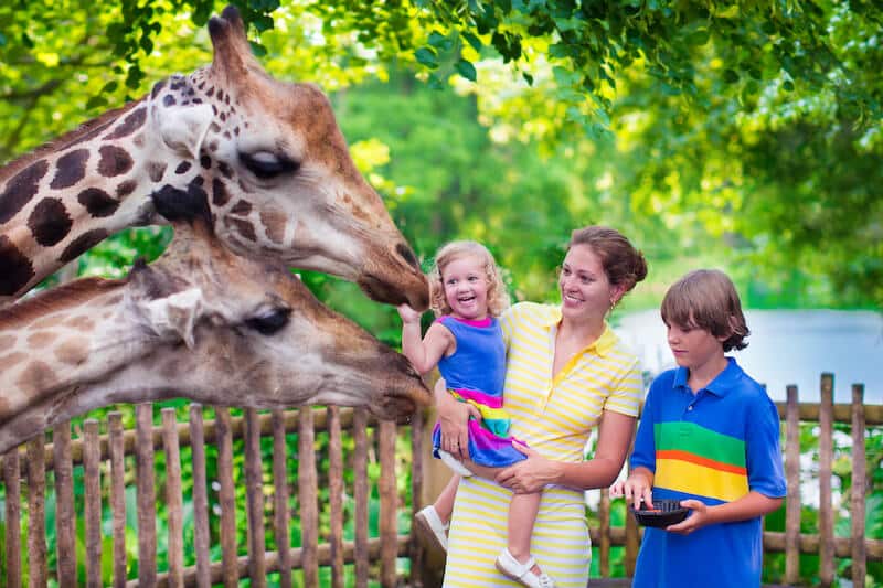 Mother, son and daughter enjoying the Bronx Zoo