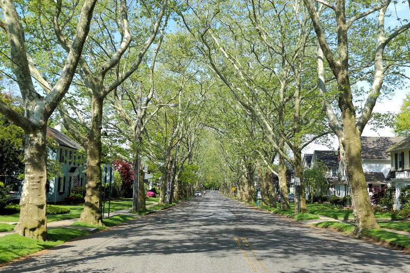 A neighborhood in Queens, NY.