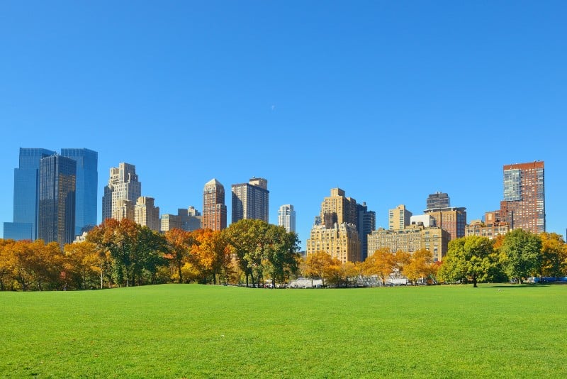 Several apartment buildings in New York. 