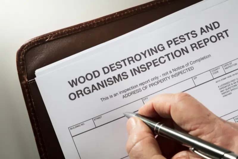 Finding Documentation on Termite Damage on Your House